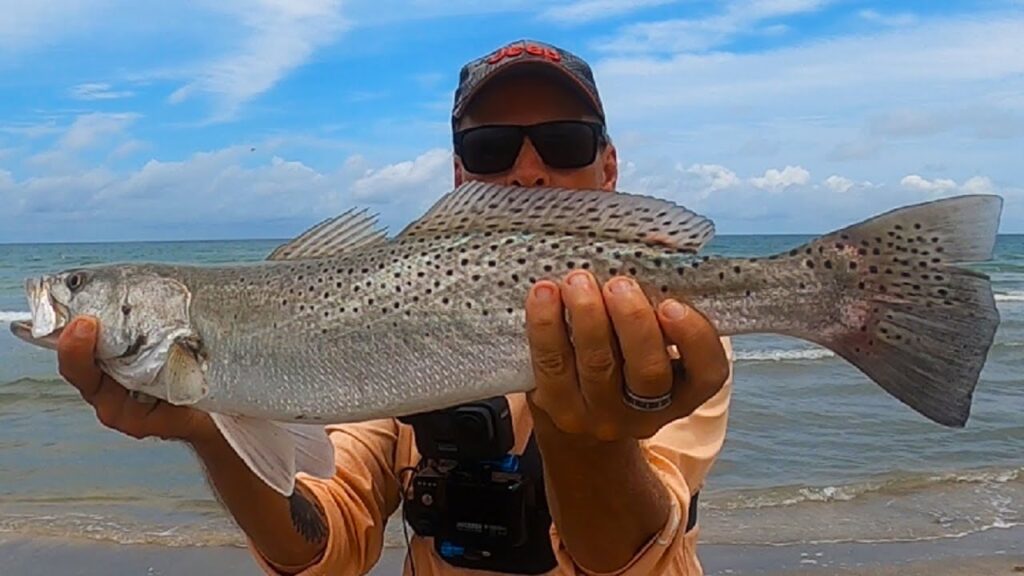 Casting A GOLDEN SPOON for 40 miles surf fishing-and you wont believe what happened next !