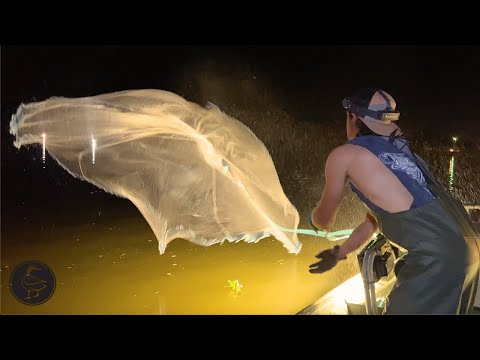 Catching Shrimp w/ Cast Net in a Bayou || CATCH  COOK!