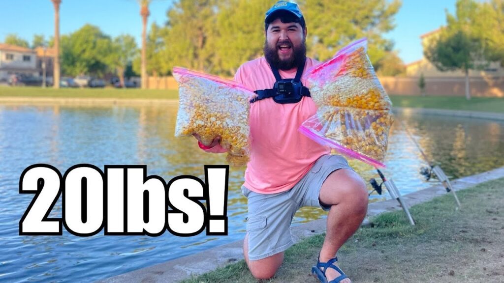 Chumming a POND with 20LBS of Bait... Then FISHING It!