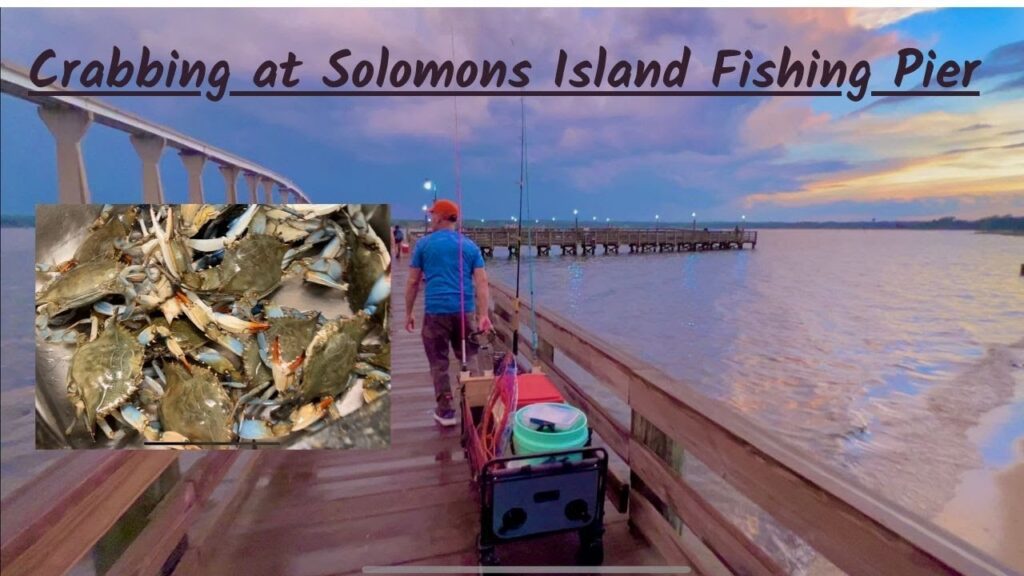 Crabbing at Solomons Island Fishing Pier, Maryland | 2023
