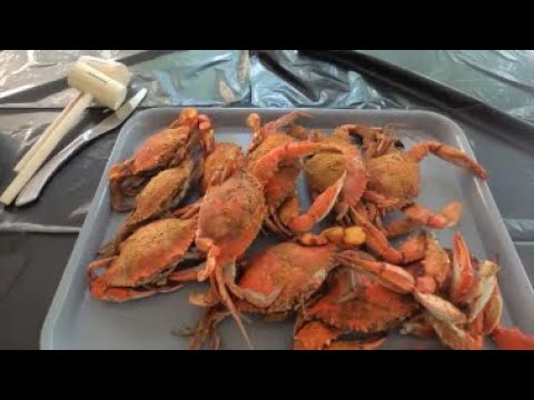 Crabbing Catch And Cook - Ocean City Maryland #oceancitymd #crabbing