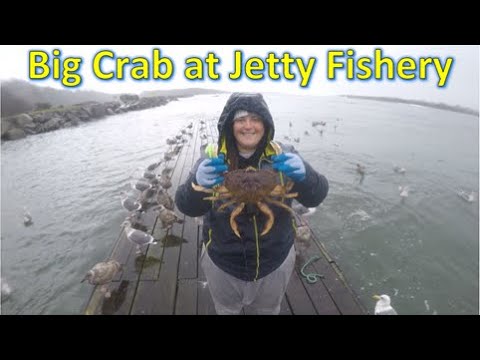 Crabbing Oregon Coast for Big Dungeness Crab at Jetty Fishery on Nehalem Bay | Rockaway Beach, OR