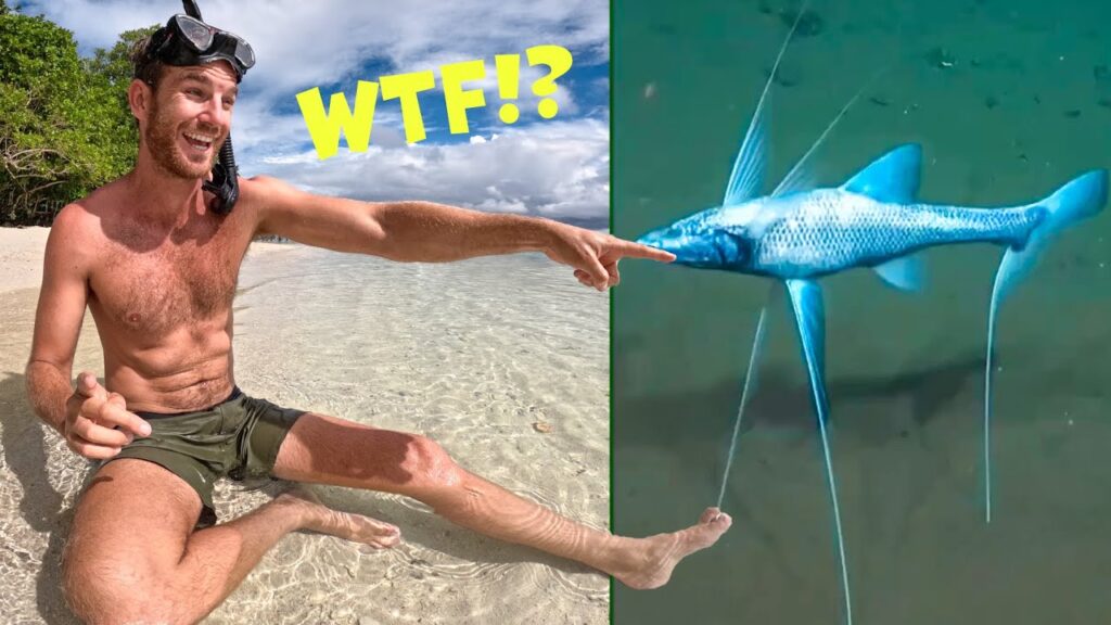 CRAZY NEW SPECIES DISCOVERED! (Deep Sea Fishing Catch  Cook)