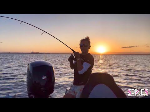Crazy Solo Night Fishing Action - Botany Bay - Spikes Fishing