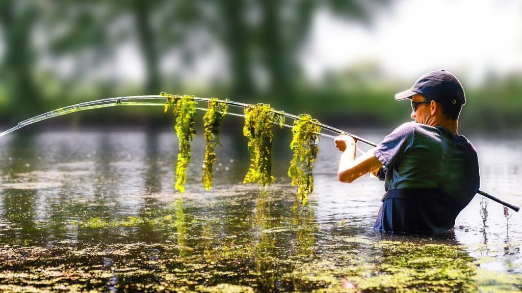 Discovering The Lost River - A Carp Fishing Film