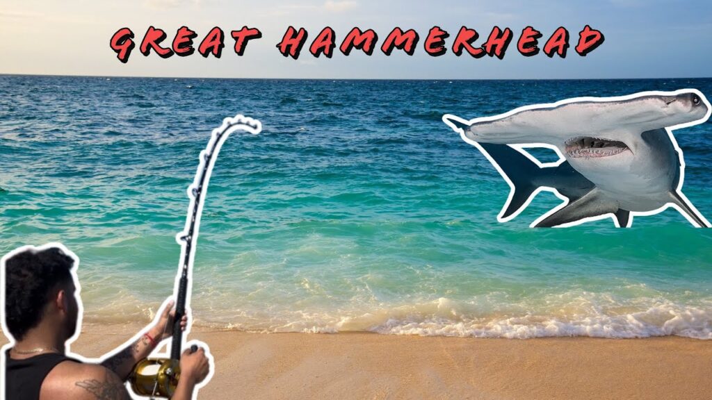 Drone Fishing and Caught a Hammerhead!!! | Long Island Sharkman