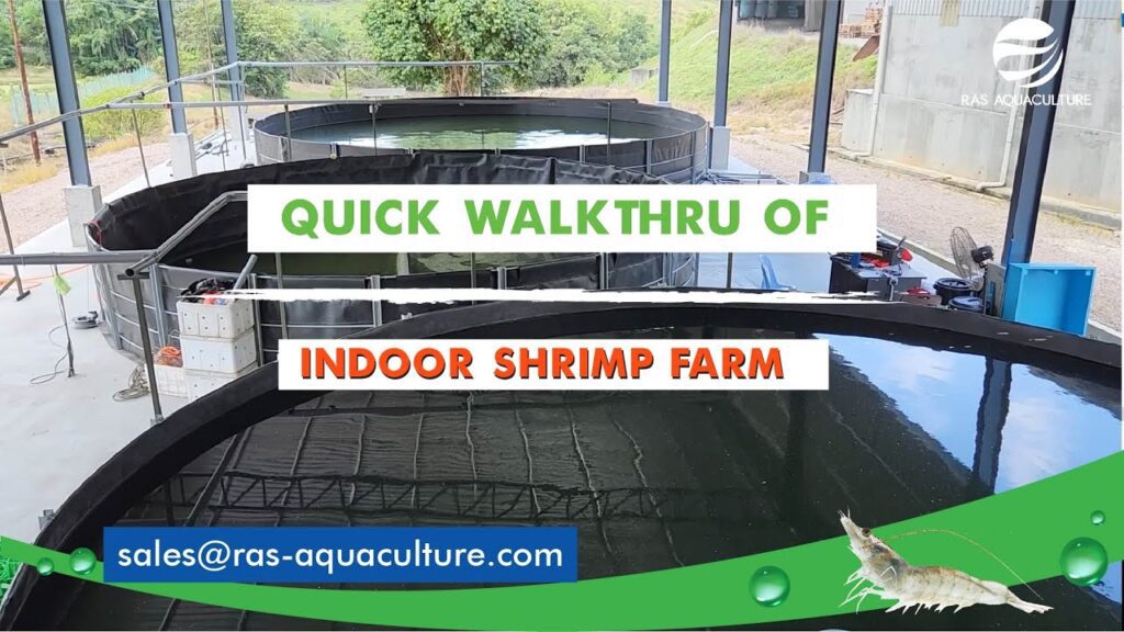 Exploring Indoor Shrimp Farming: A Quickwalk Through the Biofloc Technology Setup