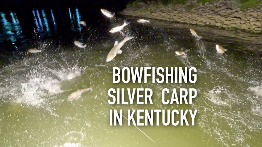 Fish Flying Everywhere! Kentucky Bowfishing for Invasive Carp