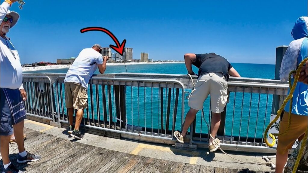Fisherman Caught the One Fish Everybody Wants to Catch on the Pier!