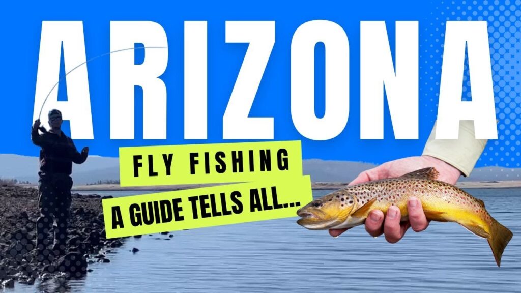 Fly Fishing in Arizona: Top Spots, Where Big Fish Are  More