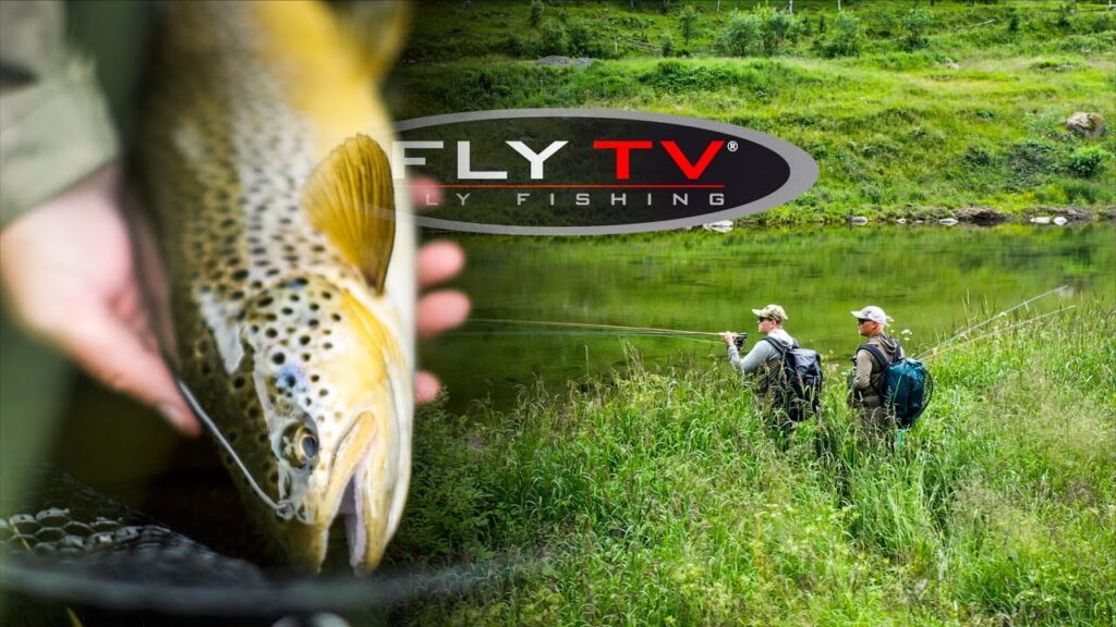 FLY TV - Dry Fly Fishing  Rising Trout in Norway