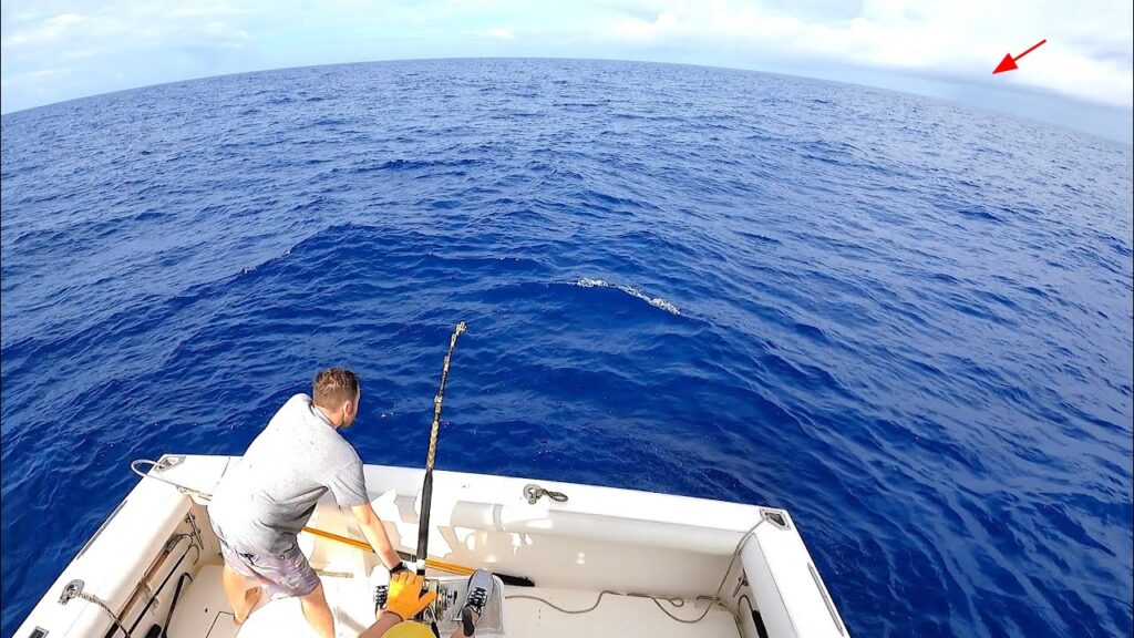 GIANT 800 LB Marlin!! Deep Sea Fishing in Hawaii