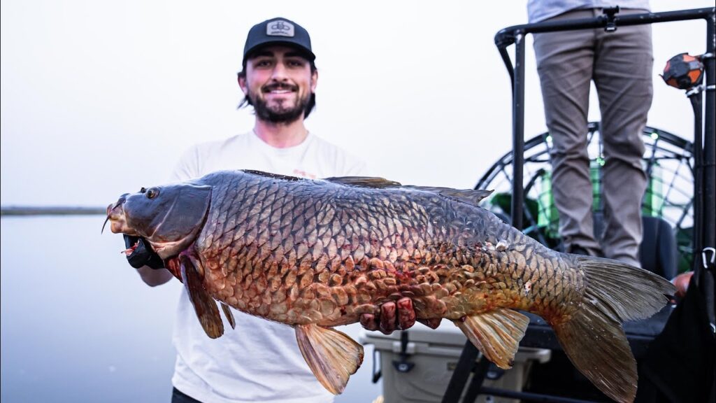 GIANT CARP bowfishing with @UnGuidedOutdoors