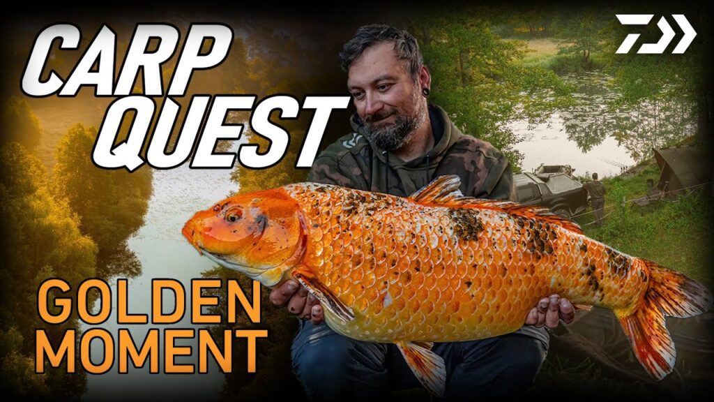 GOLDEN MOMENT | Carp Fishing in Europe | CARP QUEST | Daiwa Carp