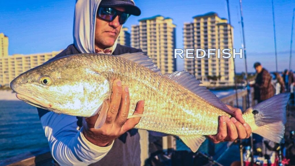 How To Catch Redfish From The Pier [Mastery Course Preview]