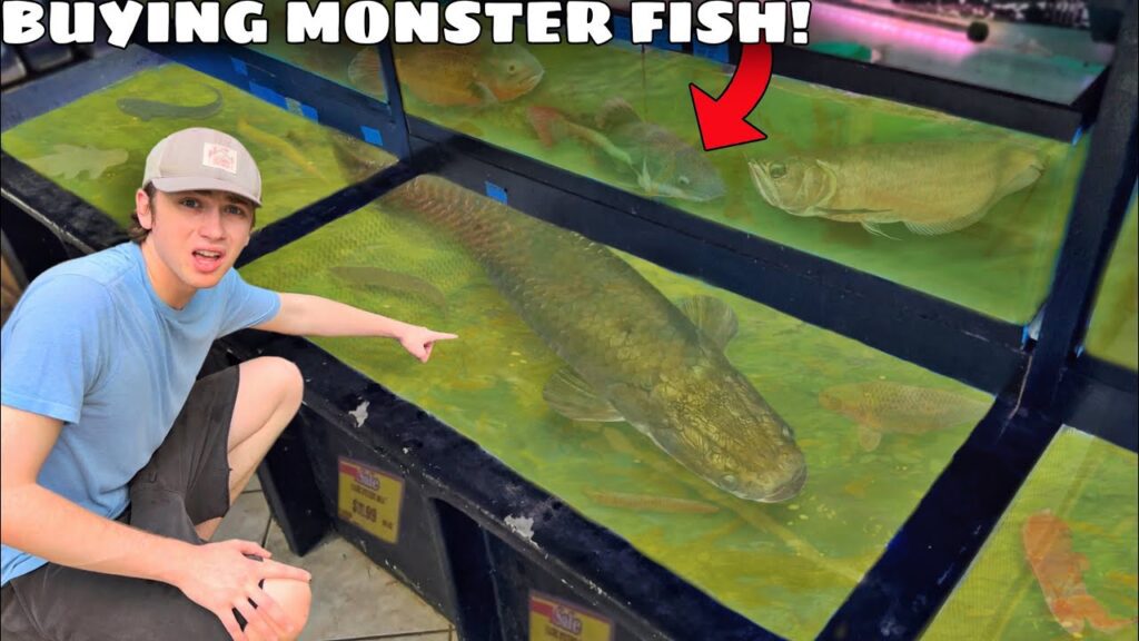 I Bought the BIGGEST Fish in the Store!