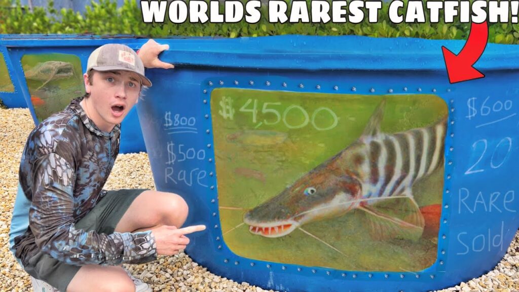 I Bought the World’s RAREST Aquarium Fish!
