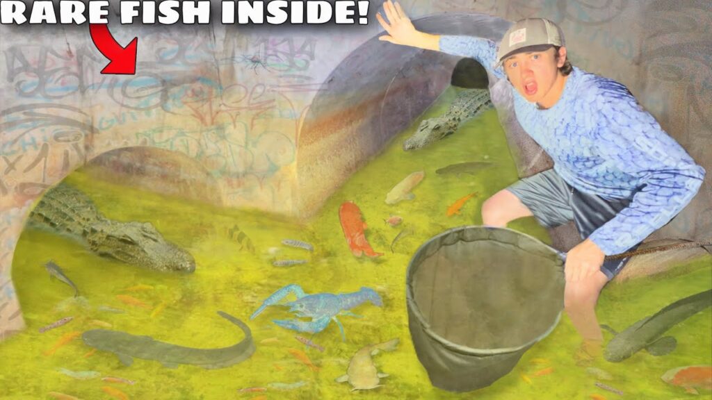 I Found a Hidden Tunnel FILLED with AQUARIUM FISH!