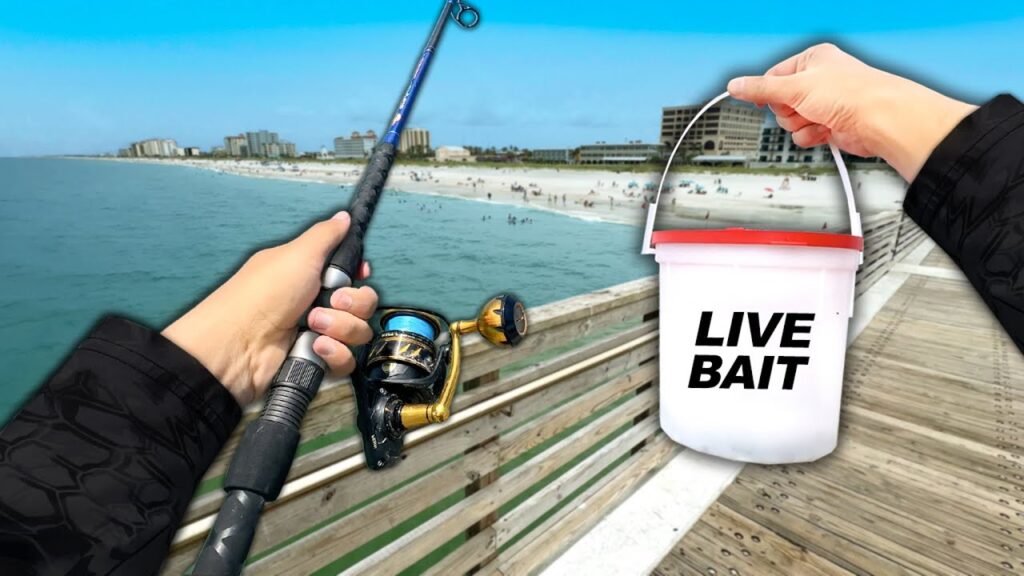 I NEVER thought Id Eat This Fish.. (Catch and Cook) Pier Fishing