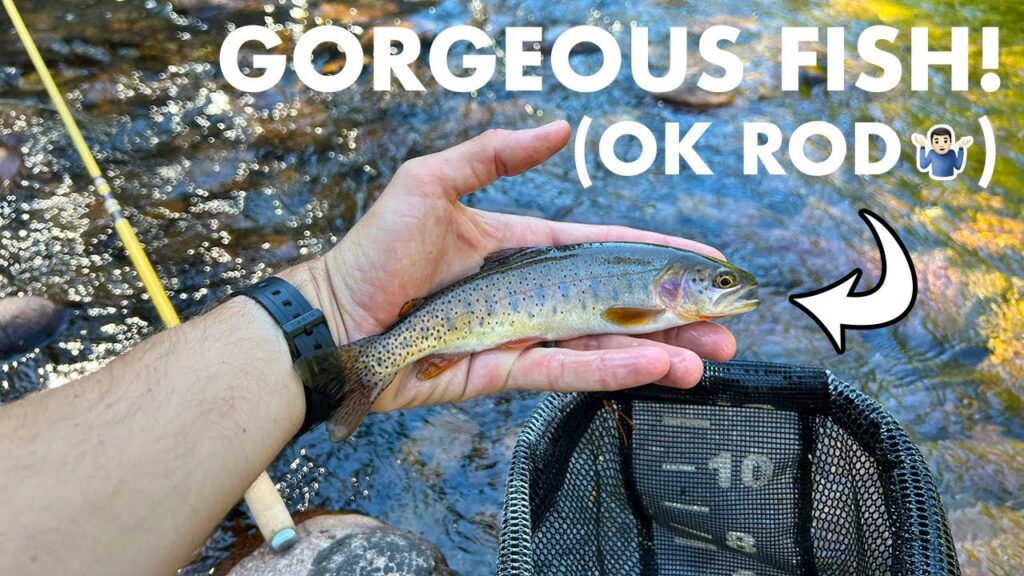 I Really Wanted to Like This Rod... But I Didnt (Tenkara Fly Fishing)