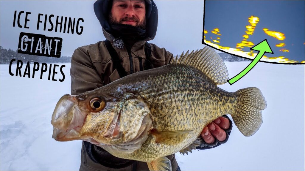 Ice Fishing GIANT Crappies in Shallow Water + TIPS  TECHNIQUES