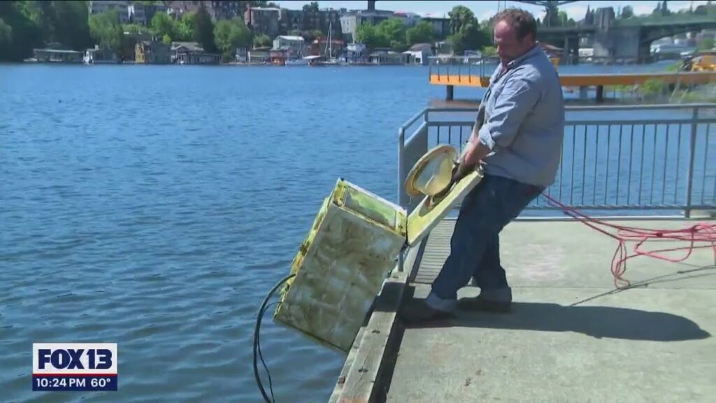Magnet fishing at Portage Bay Park | FOX 13 Seattle