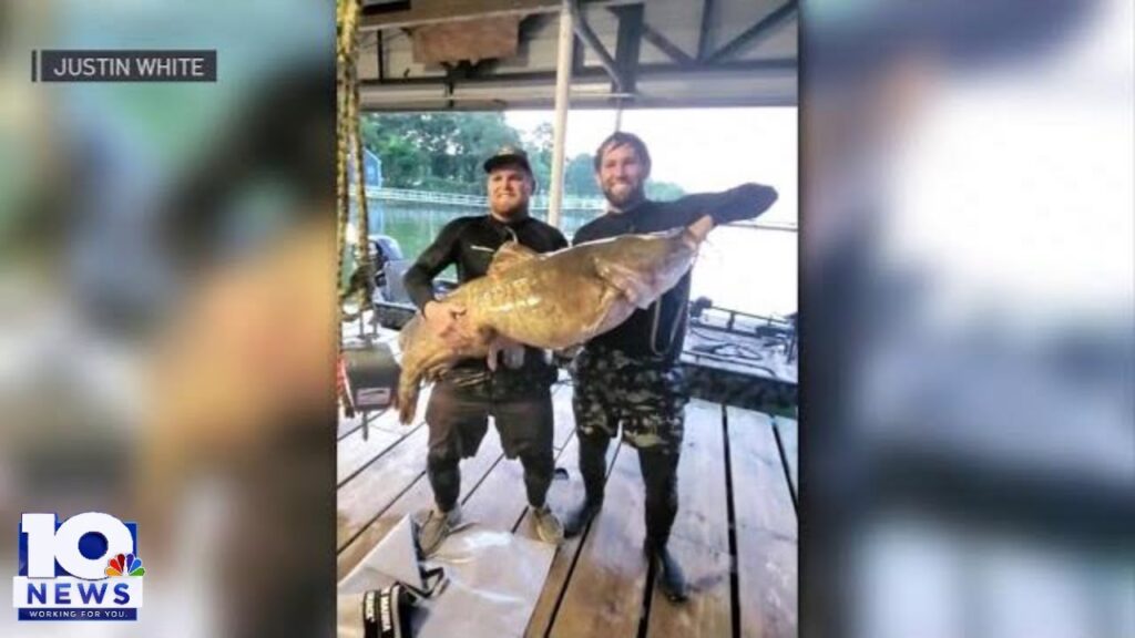 Massive 98lb catfish caught by hand