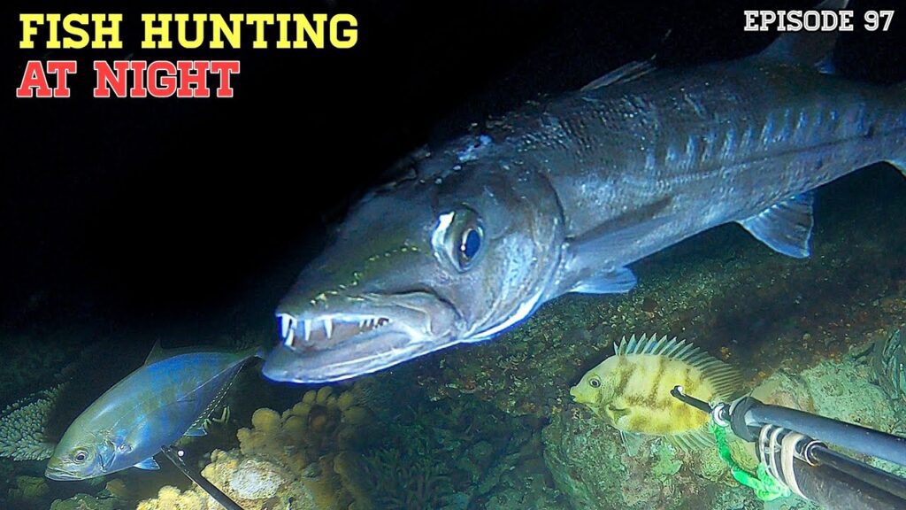 NIGHT SPEARFISHING EPISODE 97 | FISH HUNTING AT NIGHT