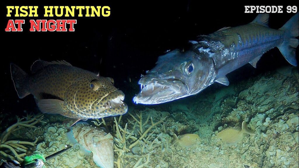 NIGHT SPEARFISHING EPISODE 99 | FISH HUNTING AT NIGHT