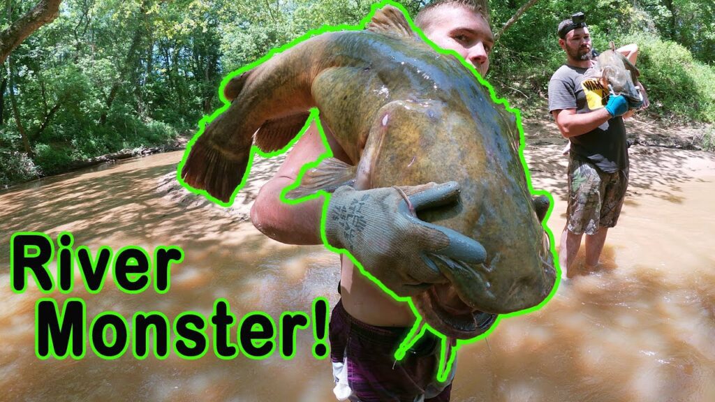 Noodling Catfish in Oklahoma! The Search for a Real River Monster! #fishing #travel #tourism