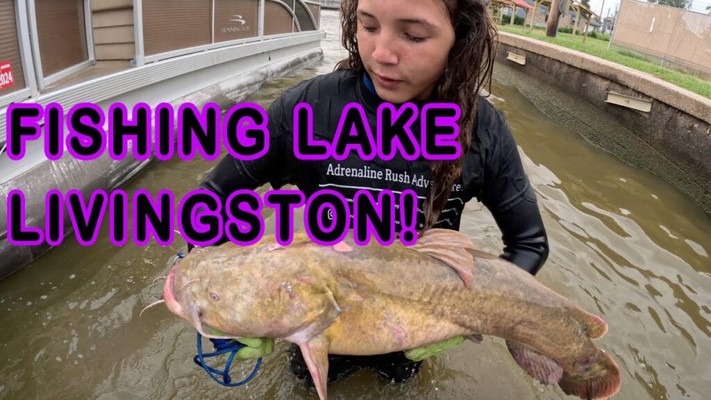 Noodling for Big Fish in Lake Livingston!! Our Search for a Giant Flathead Catfish! #fishing