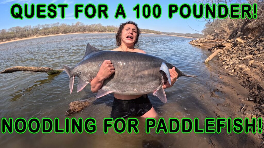 Noodling for Paddlefish! The Quest for a 100 Pound Fish Continues!! We Try Snagging and Noodling!