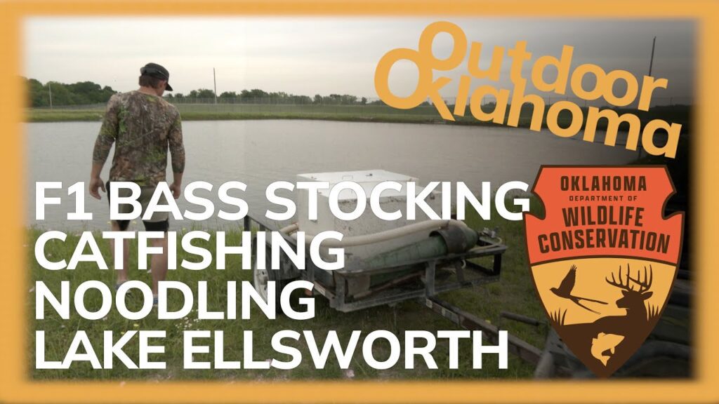 Outdoor Oklahoma #4752 (Durant Bass Production, Banta Catfish, Jack Fork Noodling, Lake Ellsworth)