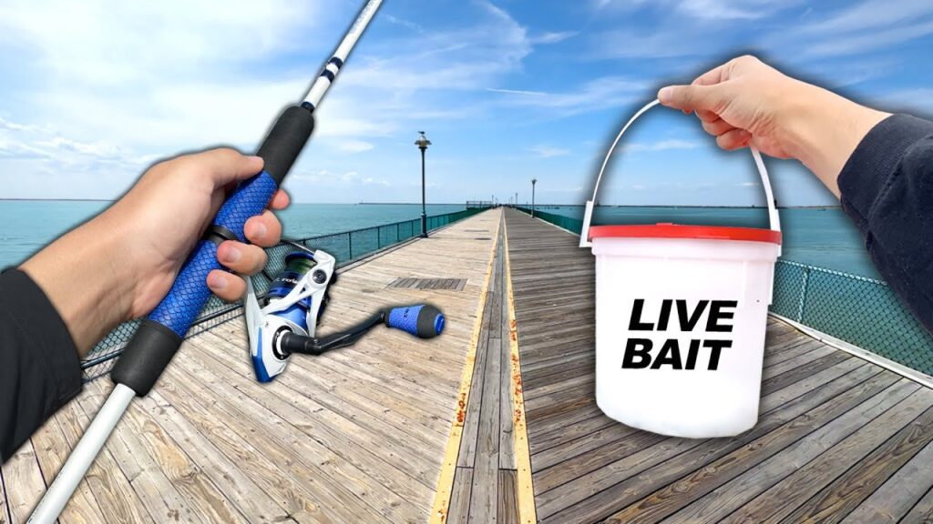 Pier Fishing for Anything That Bites.. and this happened..