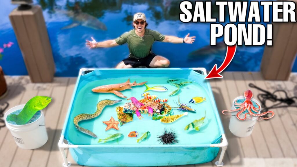 SALTWATER MINI POND Filled With EXOTIC FISH Found In Sea Monster Canal!