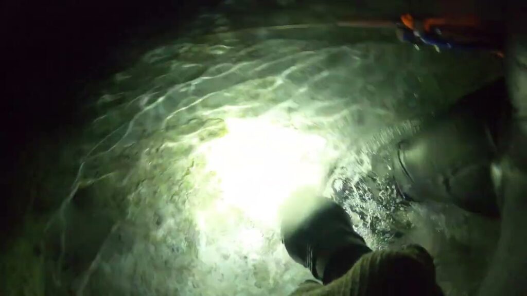 Saltwater Spearfishing | Night fishing Episode #141 #fishing #viral #video