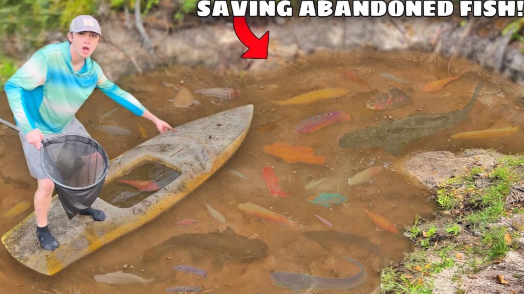 Saving ABANDONED Aquarium Fish From FLOODED MUD POND!