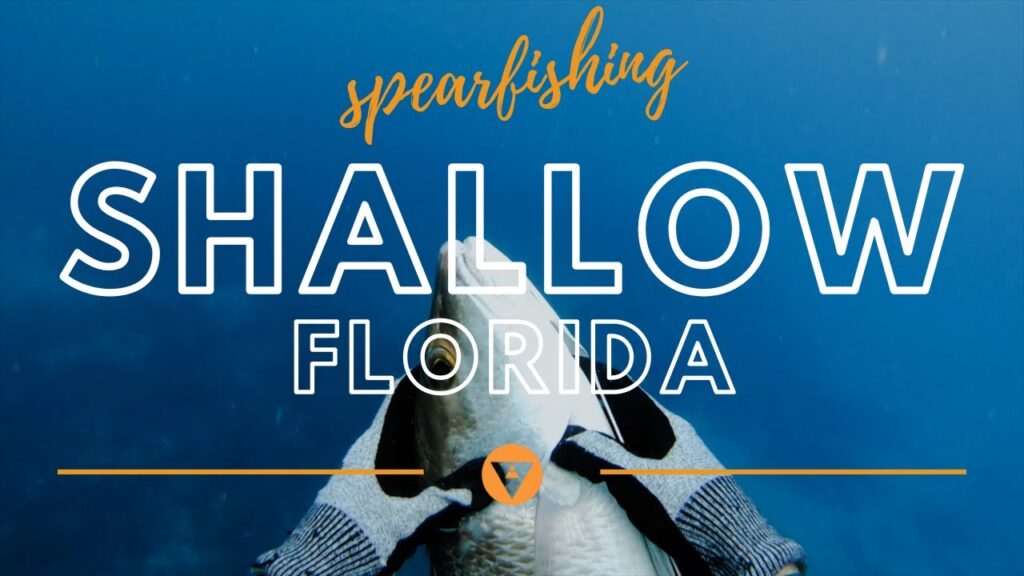 Shallow Spearfishing In Florida