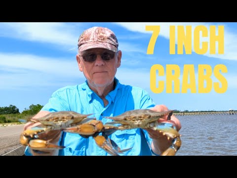 Should You Crab At High Or Low Tide