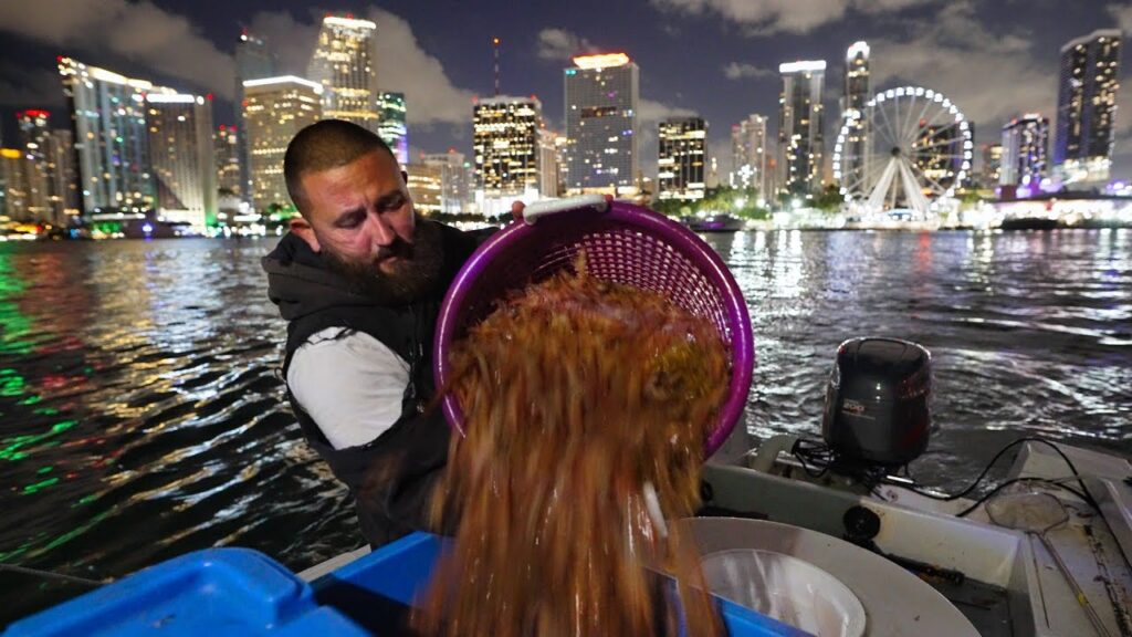 Shrimping in Miami from Boats and Bridges (Fishman Joe)