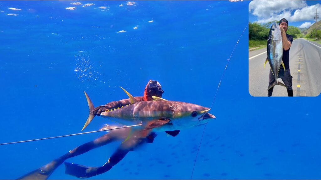 Spearfishing Ahi From Shore: A Divers Dream Come True / Hawaii Vlog