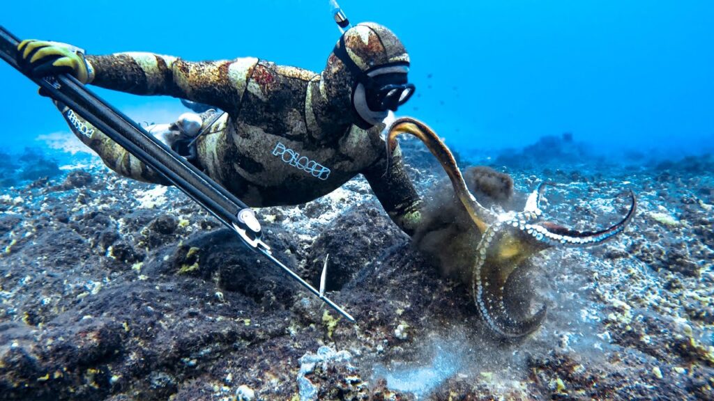 Spearfishing and Octopus Hunting in Hawaii (Catch and Cook)