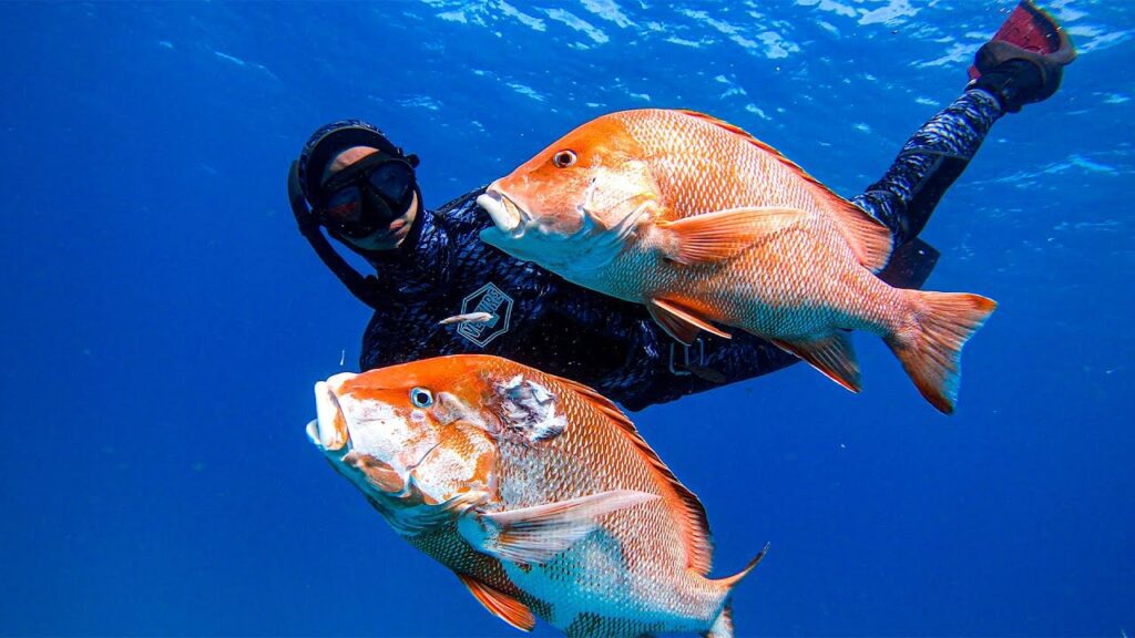 Spearfishing Australia 2022 - The Great Barrier Reef