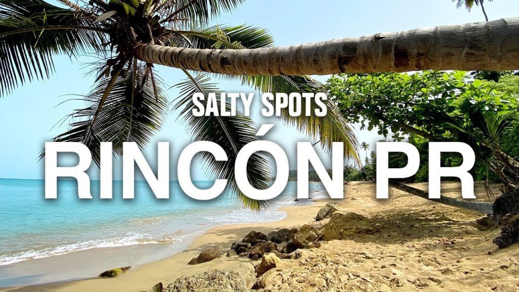 Spearfishing  Exploring in Rincón, Puerto Rico | Salty Spots