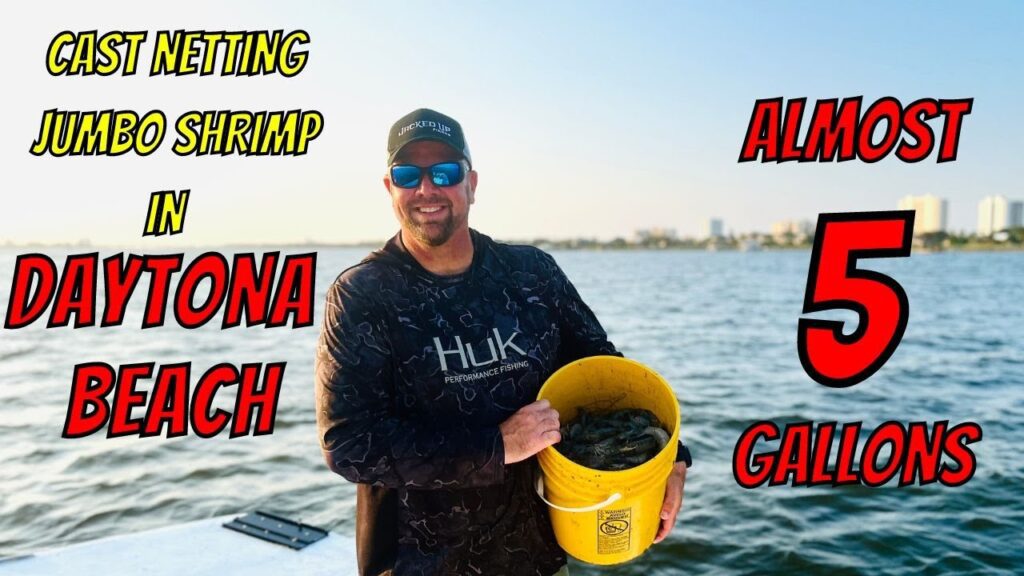 SUMMER TIME SHRIMPING HEATING UP!!!-  Castnetting Jumbo Shrimp In Daytona Beach, Florida