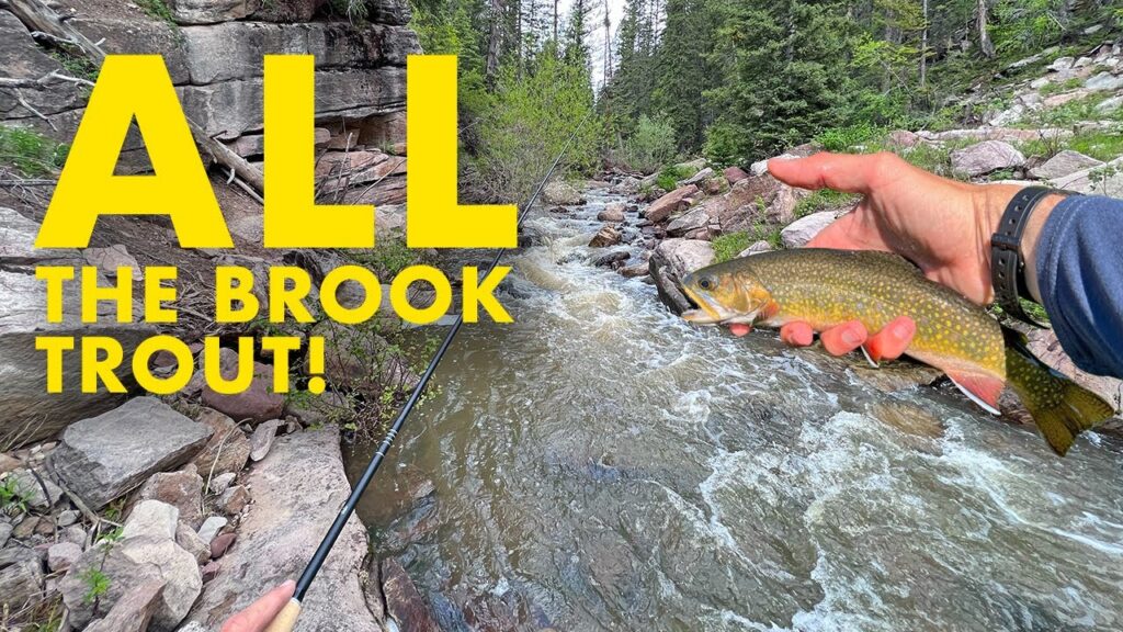 This Creek Is Brook Trout Heaven (Tenkara Fly Fishing)