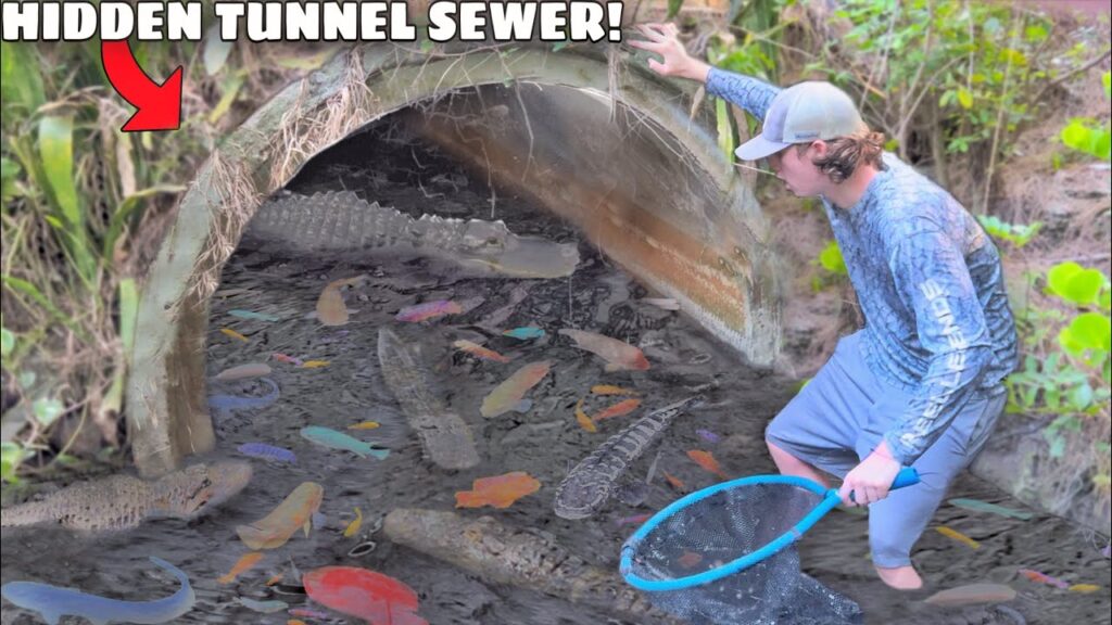 This Hidden Tunnel is FILLED with AQUARIUM FISH!
