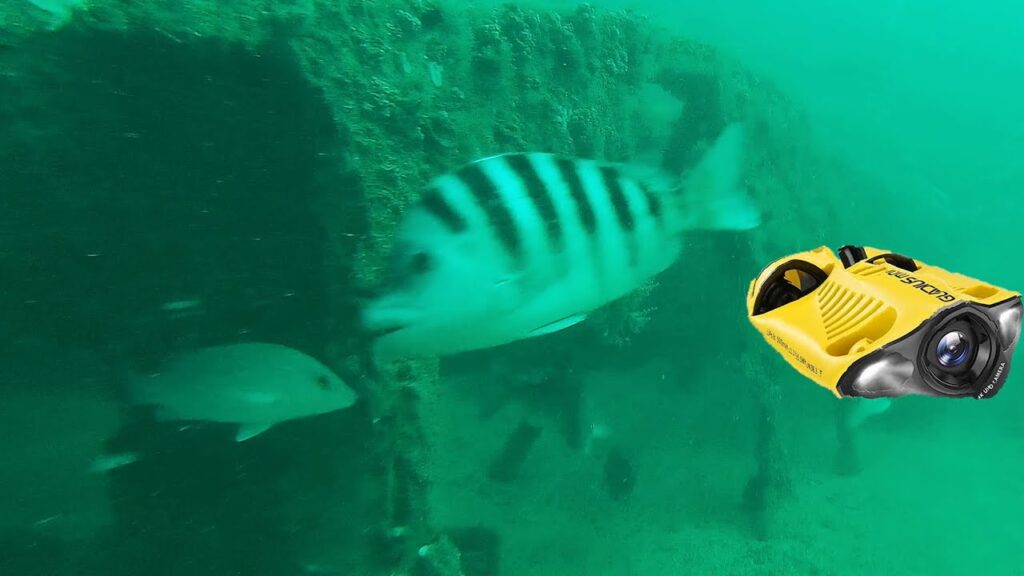 Underwater Drone Found The Best Fishing Spots on Reef!