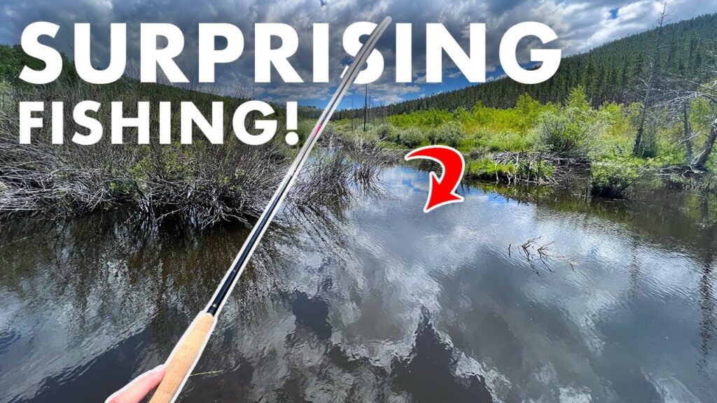 Unexpectedly Fast and Furious Fishing! (Tenkara Fly Fishing)