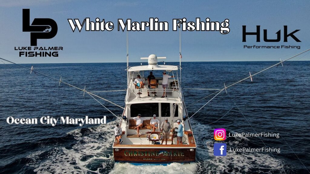 White Marlin Fishing! | Ocean City Maryland
